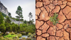 Slováci budú čeliť