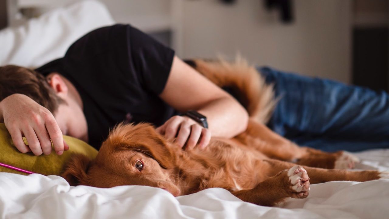 jamie-street-WvZ4dTE7dLI-unsplash