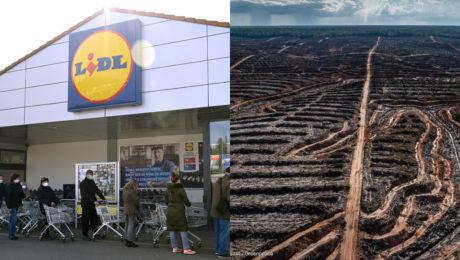 Lidl ide na