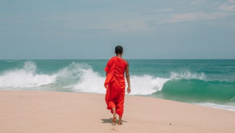 Ako vyzerá dokonalá