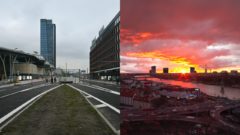 V Bratislave vyrastie