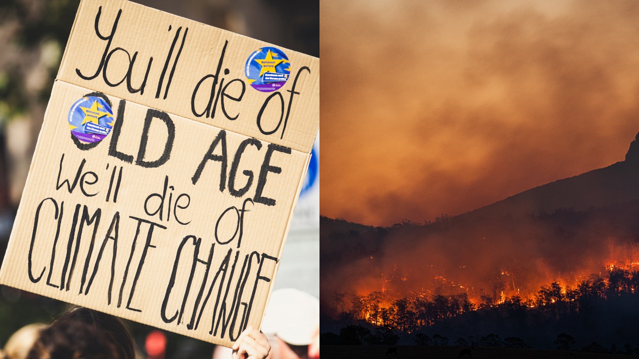 pjimage – 2021-08-16T082220.463