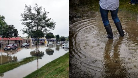 Počasie sa zbláznilo.