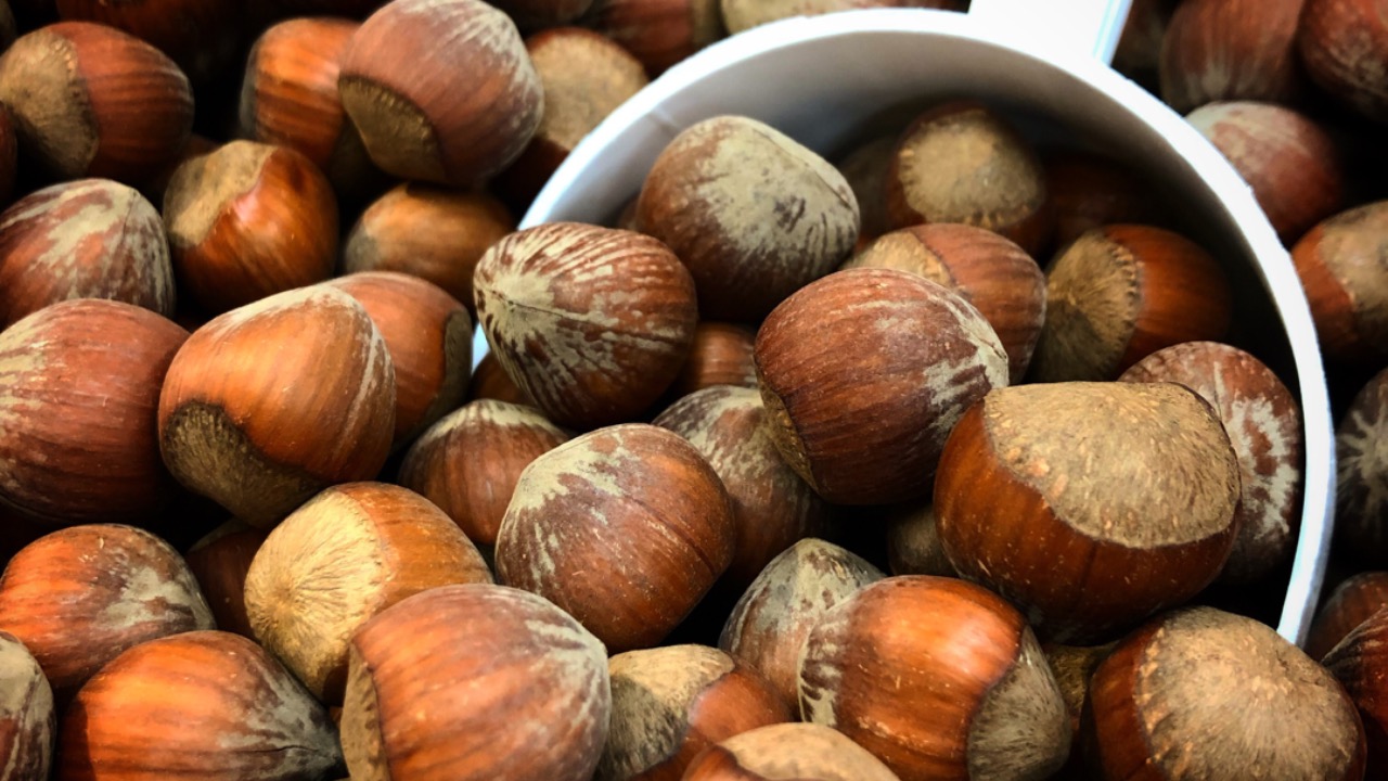 Nutella Taliansko pestovatelia farmy