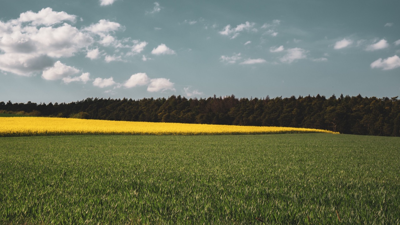 Nutella Taliansko pestovatelia farmy