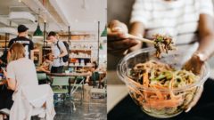 vegetariánstvo strava univerzity