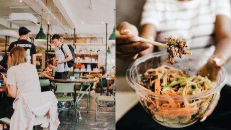 vegetariánstvo strava univerzity