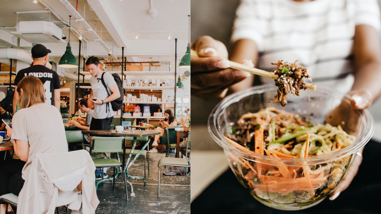 vegetariánstvo strava univerzity