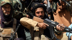 taliban, afganistan