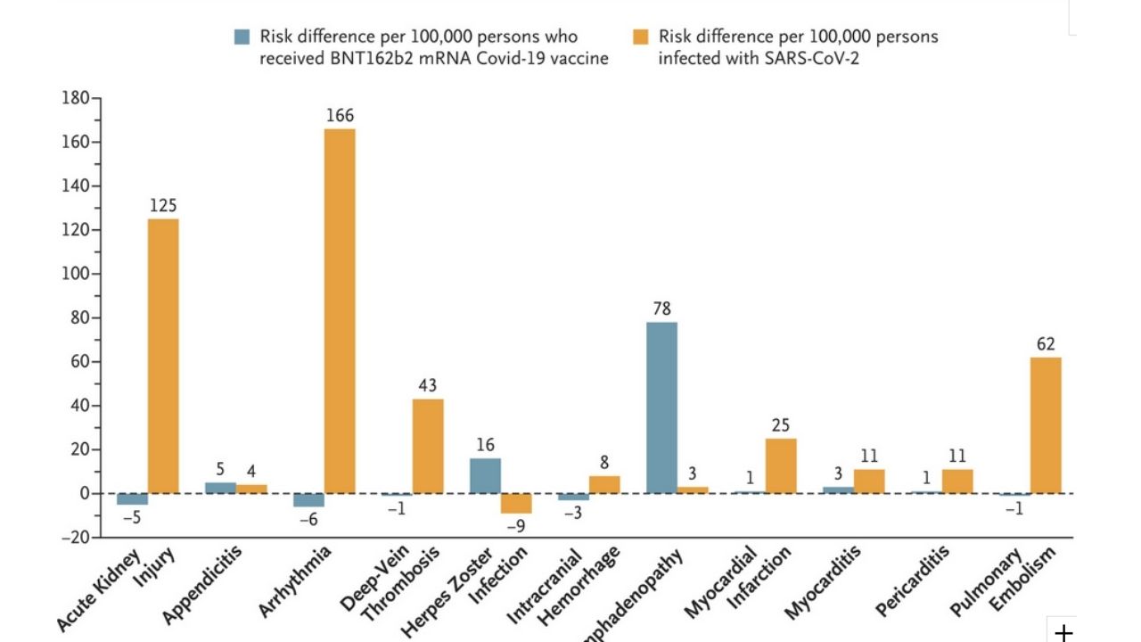 analýza bezpečnosti mRNA vakcíny