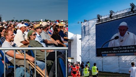 Veľa Slovákov neprinútil