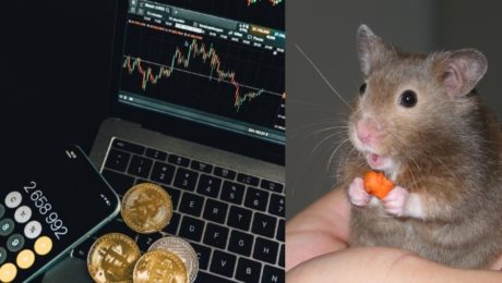 Škrečok obchoduje s