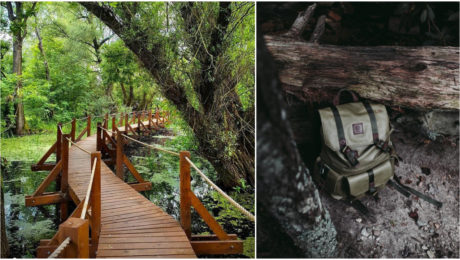 Ilustračný obrázok