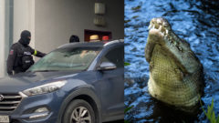 Ilustračný obrázok