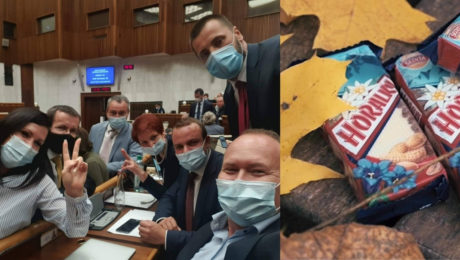 Kauza Horalky, ktorá