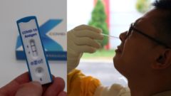 Koronavírus testovanie