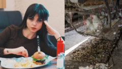 Vajíčka budeme zrejme