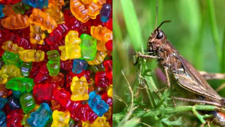 Sladké pochúťky z