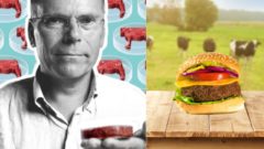 Šťavnaté burgre z mäsa,