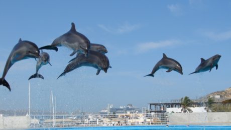 SMUTNÝ REKORD: Krvavé