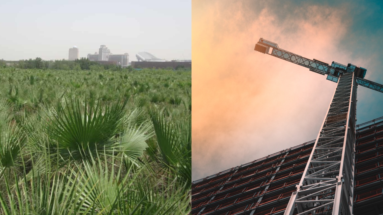 pjimage – 2021-09-05T192413.332