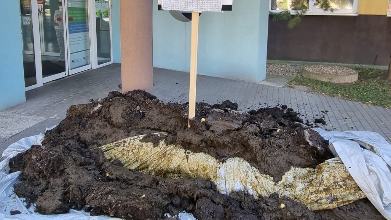 pjimage – 2021-09-09T132432.496