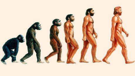 neandertálci história odevy archeológia štúdia