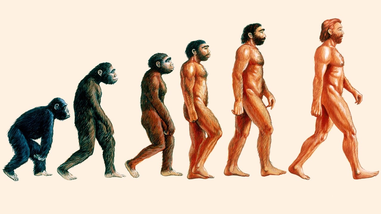 neandertálci história odevy archeológia štúdia