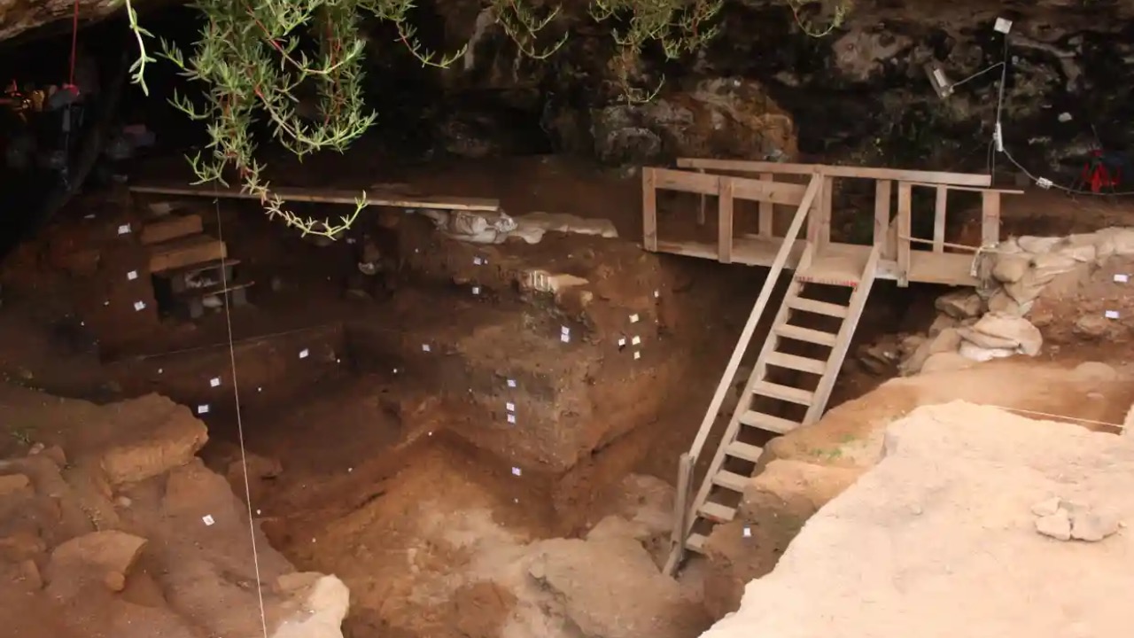 neandertálci história odevy archeológia štúdia