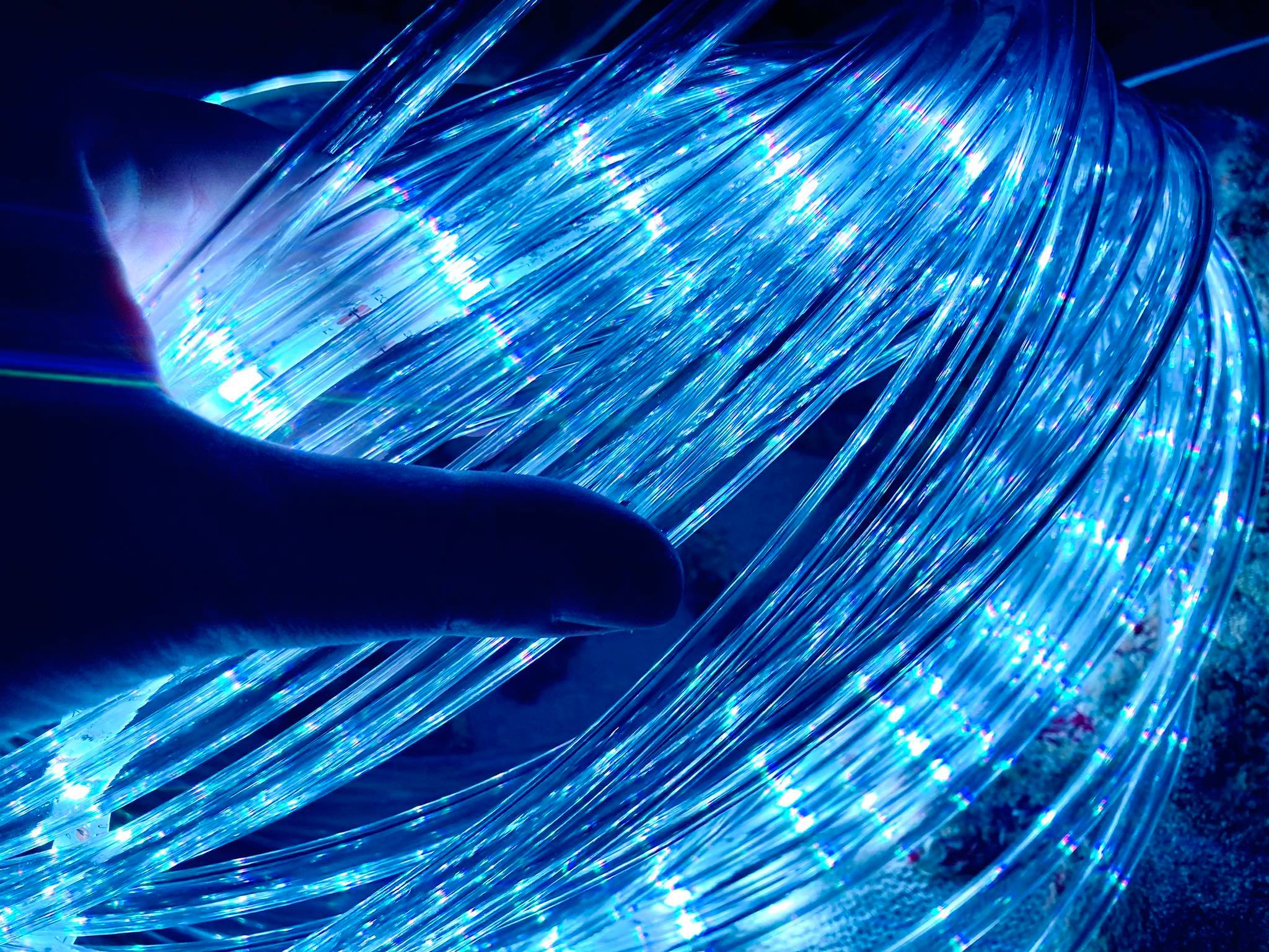 Samyel, Laila- Hojda