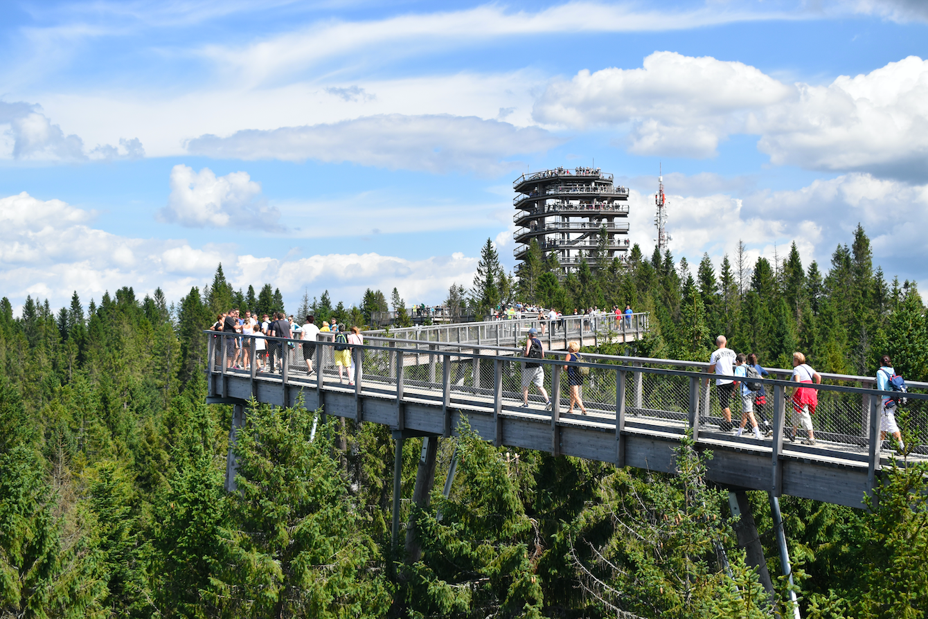 Snímka obrazovky 2021-09-09 o 12.56.00