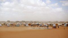 migrácia klimatická zmena