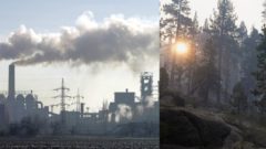 Svet pozná vinníkov,