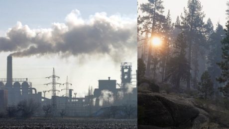 Svet pozná vinníkov,