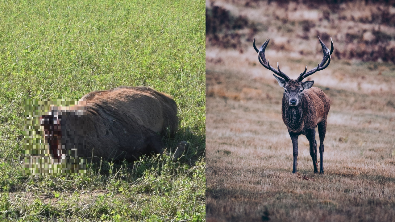 Ilustračný obrázok