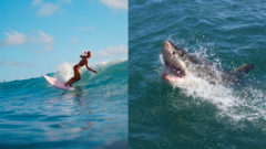 Ilustračný obrázok