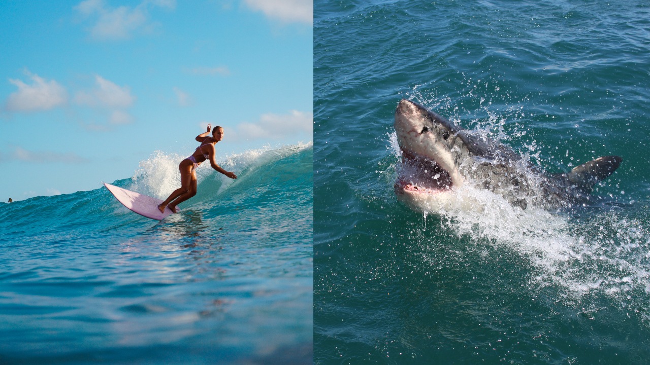 Ilustračný obrázok