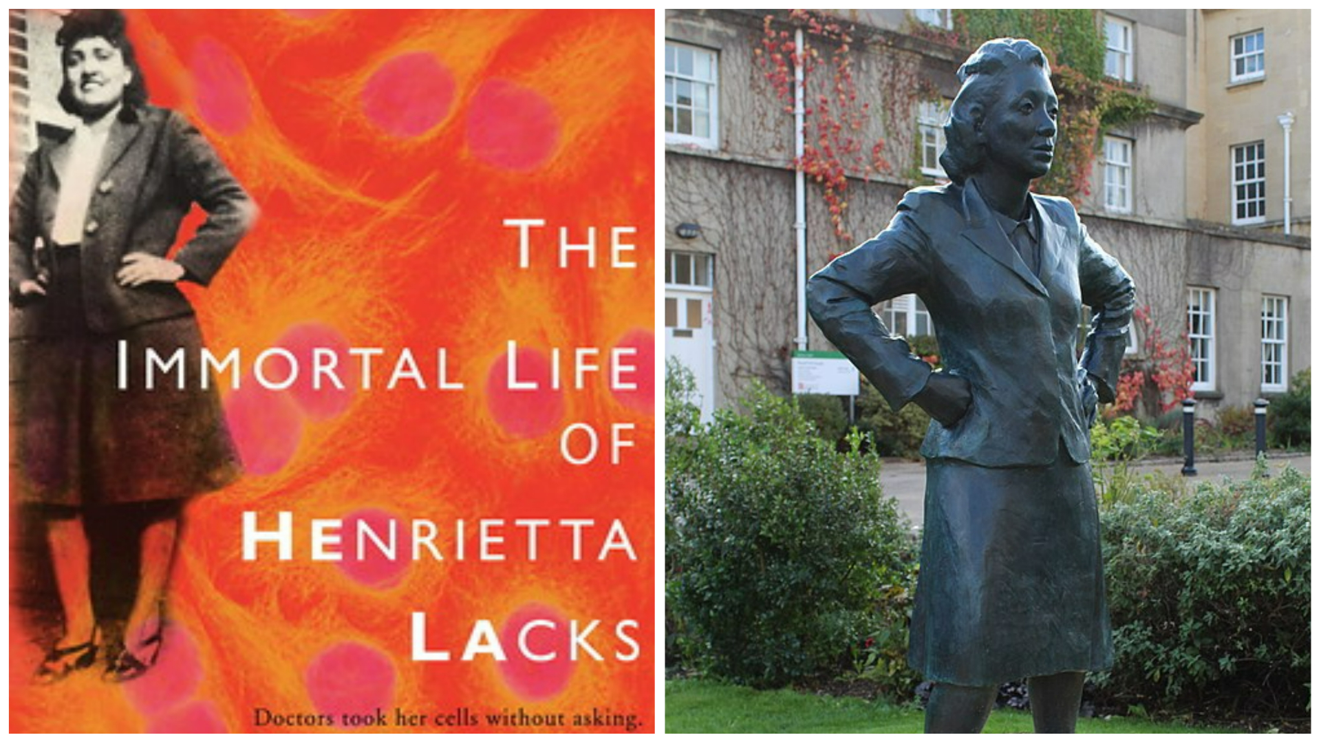 Henrietta Lacks