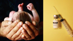 Hoaxeri využili predčasne