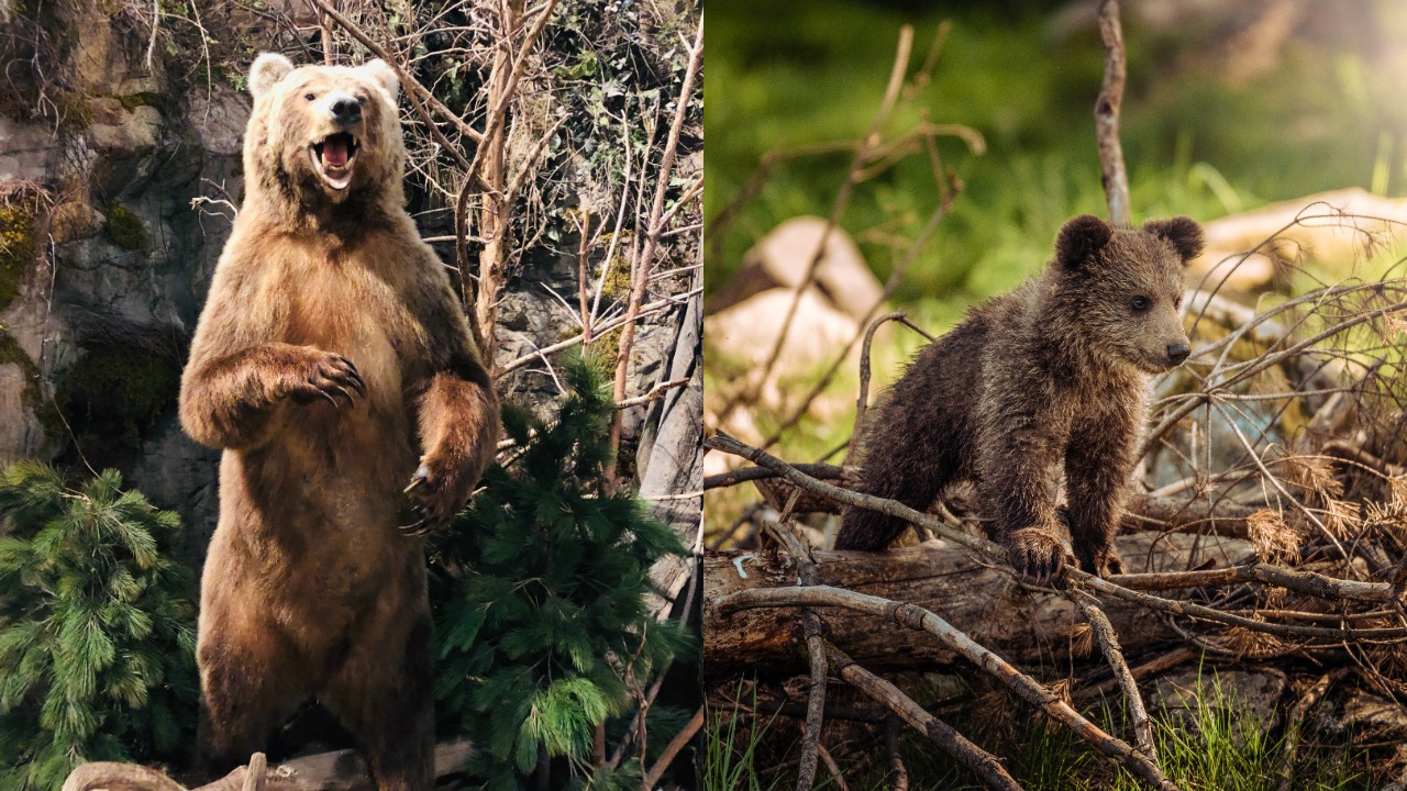 pjimage – 2021-10-01T184949.593