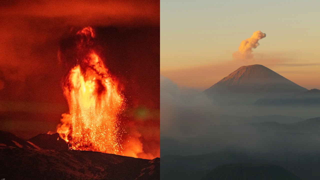 pjimage – 2021-10-04T163726.761