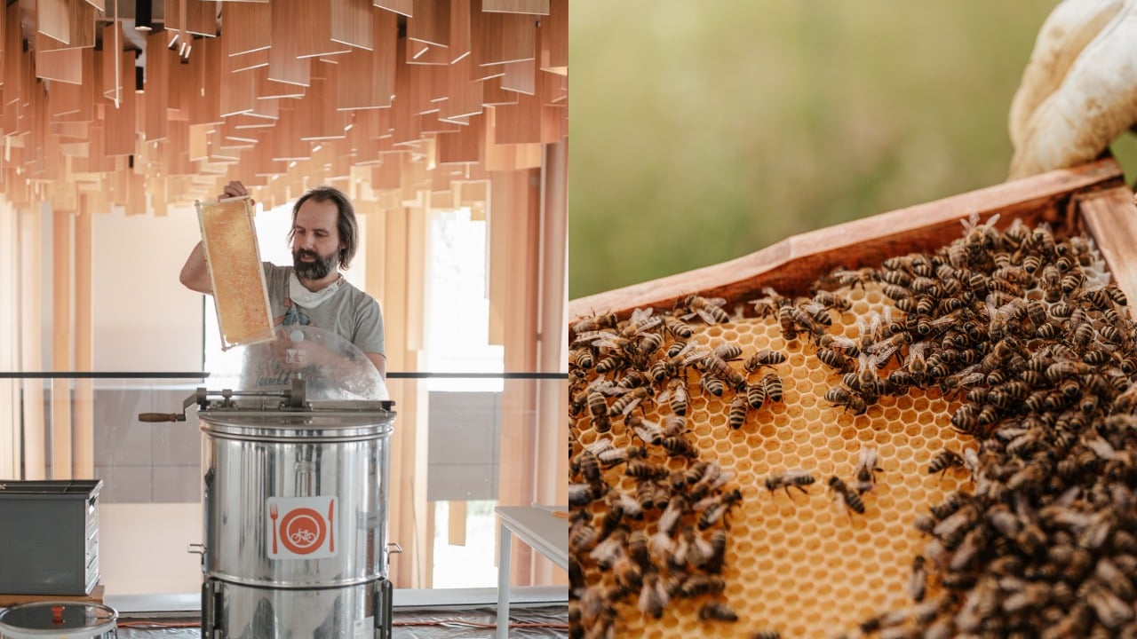 pjimage – 2021-10-21T120157.814