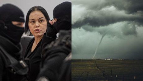 Kočnerova volavka ide