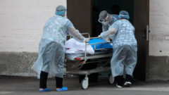 pandemia, koronavirus