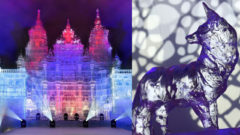 Ľadový unikát otvoril