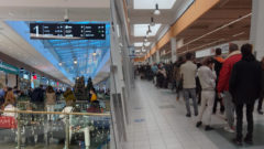 Slováci stoja hlava