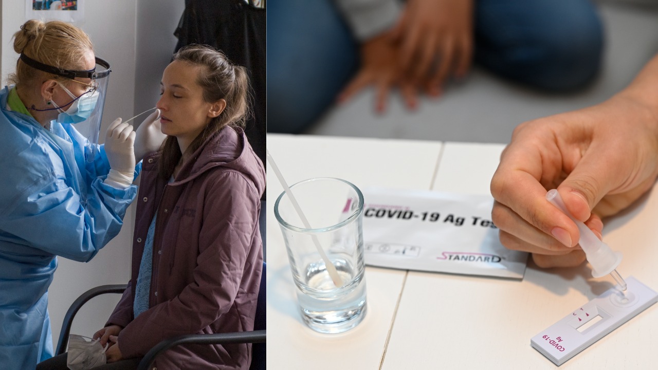 Snímka z firemného testovania zamestnancov Tlačovej agentúry Slovenskej republiky. Testovanie žiačky základnej školy domácim antigénovým samotestom.