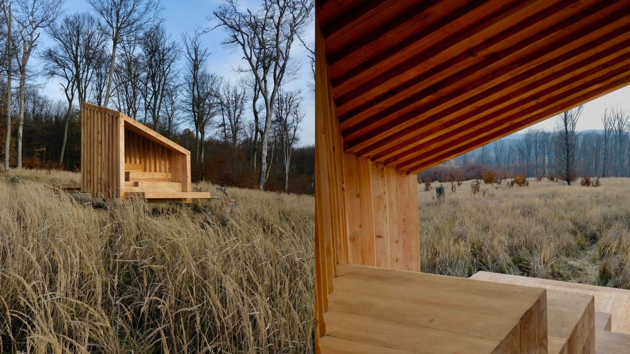 pjimage – 2021-11-19T144916.046