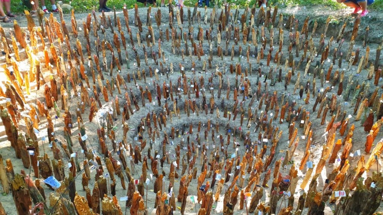 pjimage – 2021-11-26T142731.946