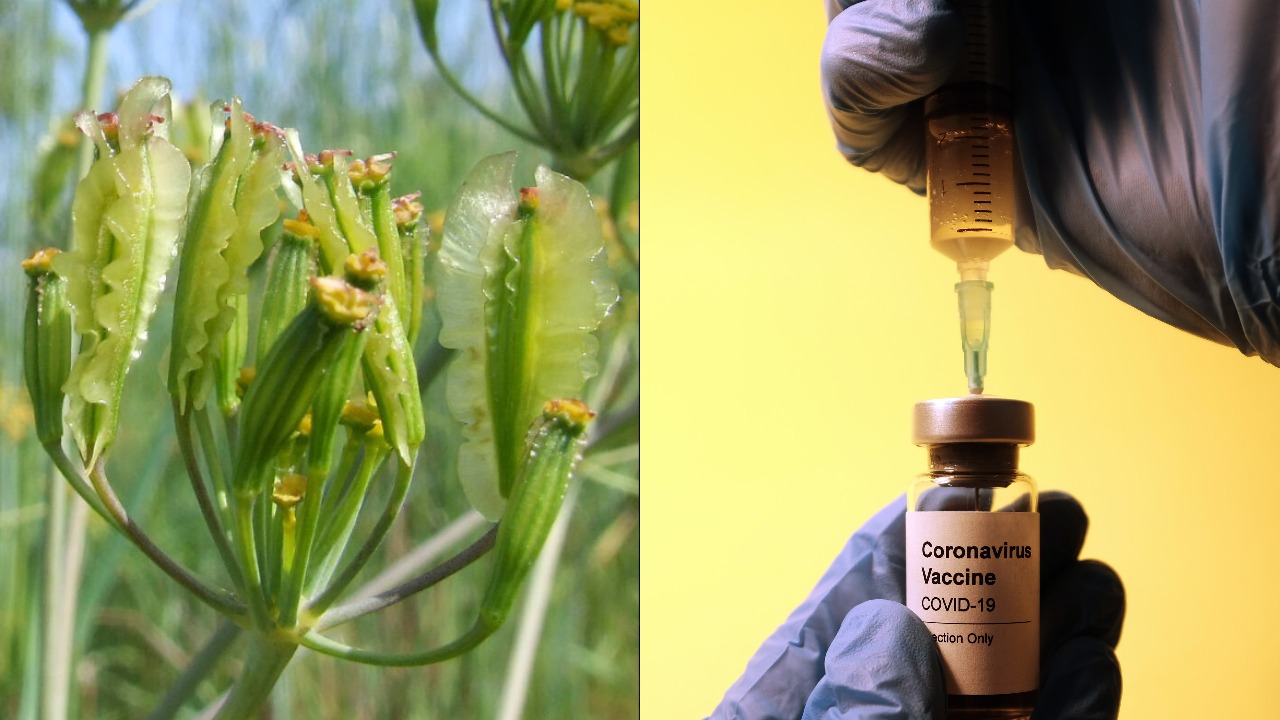 pjimage – 2021-11-28T103422.405